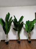 Artificial Realistic Plants Fake Canna Banana Tree Decoration 1.6m 1.8m 1.95m