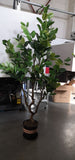 Artificial Realistic Plants