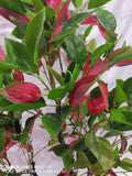 Artificial Realistic Plants