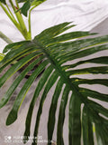 Artificial Realistic Plants