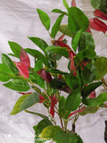 Artificial Realistic Plants