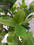 Artificial Realistic Plants