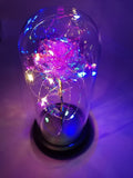 Glass Rose bottle ornament light love valentine's day mother's day rainbow