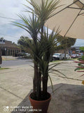 Artificial Realistic Plants