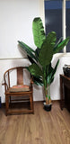 Artificial Realistic Plants Fake Canna Banana Tree Decoration 1.6m 1.8m 1.95m