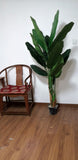 Artificial Realistic Plants Fake Canna Banana Tree Decoration 1.6m 1.8m 1.95m
