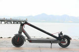 250W 7.8A 36V Electric Scooter Foldable Portable