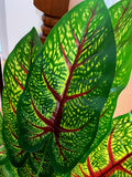 Artificial Realistic Plants Fake Canna 12 Leaves Decoration 0.7m