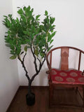 Artificial Realistic Plants Fake Camphor Tree Decoration H1.8m