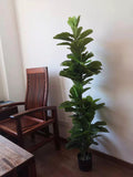 Artificial Realistic Plants Fake Ficus Lyrata Decoration 3-pronged leaf 95cm 1.65m 1.7m 2.2m